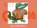 Go Gators