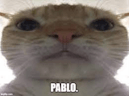 Pablo meme