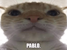 Pablo meme