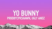 Yo bunny