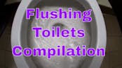 Toilet Flushing SFX 19