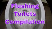 Toilet Flushing SFX 19