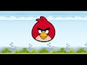 Angry birds scream