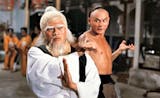 Okay, you must pretend this is Priest Pai Mei.
