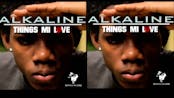 Alkaline - Things Mi Love