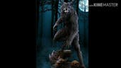 Howling werewolf sound effect