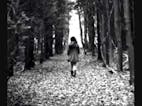 Walking through the woods