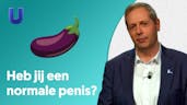 Heb jij een normale penis?