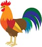 Rooster