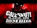cod zombies but somethings off...