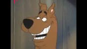 Scooby Doo is drunk