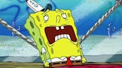 spongebob soiled it