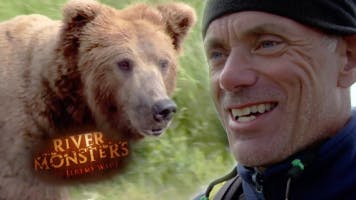 The Bears May Have Found A Good Fishing Spot