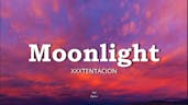 Spotlight Moonlight 