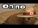 oh no cringe (Canadian version)
