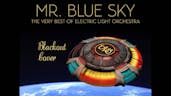 Mr Blue Sky 3