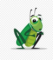 Crickets