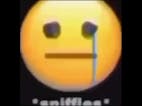 RIP