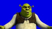 get out of me swamp