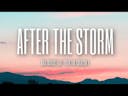 after the storm 2