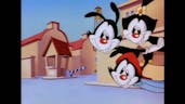 Animaniacs Theme - HIGH DEFINITION