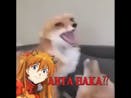 ANTA BAKA