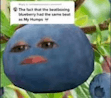Beatboxing Blueberry