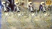 Spooky Scary Skeletons