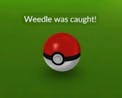 Pokemon Caught! (Pokemon Go Jingle)