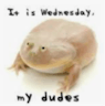 It is Wednesday my dudes