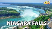 bird over Niagara Falls