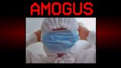 All I See is Amogus