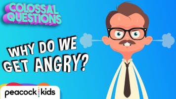 We tend to get angry for two basic reasons.