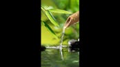 Relaxing Music Bamboo Water Fountain 