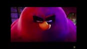 Im Da Biggest Bird Earrape