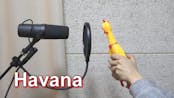 Camila Cabello - Havana 'Chicken Cover'