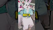 Bunny funny 