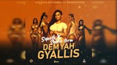Dem Yah Gyallis (Official Audio)