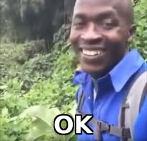 Ok (Meme)