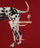 Spot Publicitario ''Pet Natura''