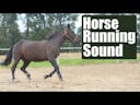 Horse running sound effect