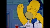 Homer Simpson: Woo-hoo