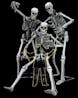 skeleton rosting