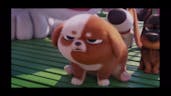 Pets 2: “Pickles is pissed”