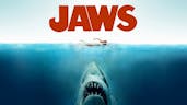 Jaws