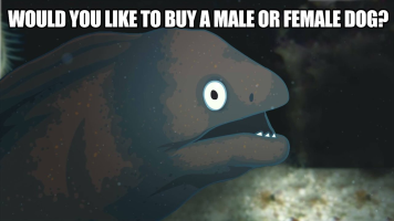 Buy Male Or Female Dog? Bitch Please
