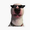 Dog says f word