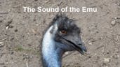 Emu Sound