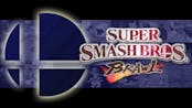 Super smash bros brawl into