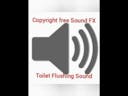 Toilet Flushing SFX 14